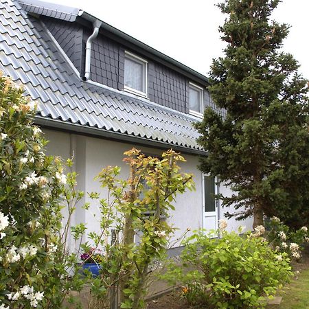 Muschel Lägenhet Zingst Exteriör bild
